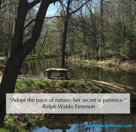 Image of Stone Bench on the River with quote: "Adopt the pace of nature: her secret is patience." - Ralph Waldo Emerson