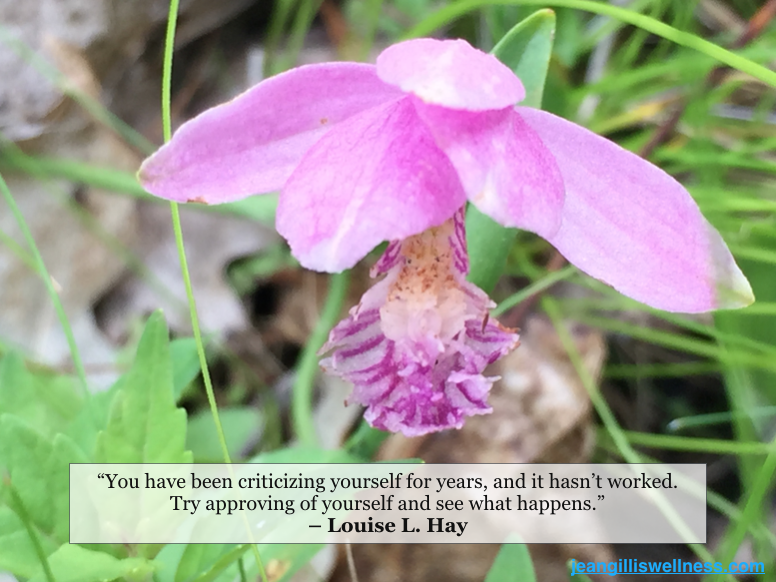 Image of Flower with quote: "Remember, you have been criticizing yourself for years and it hasn't worked. Try approving of yourself and see what happens." - Louise Hay